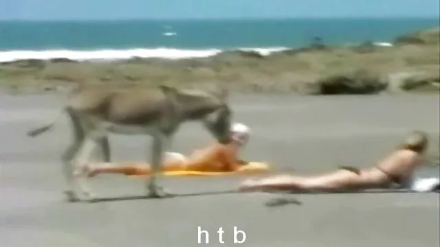 Sexy all girl հնդկական գյուղի տնային սեքս տեսանյութեր fight թիմը